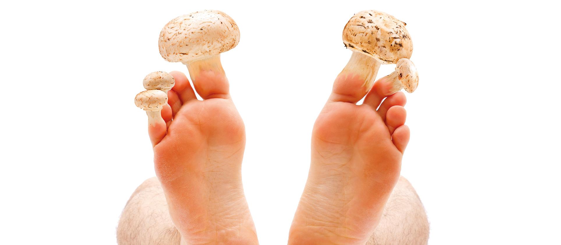 toenail fungus mushroom
