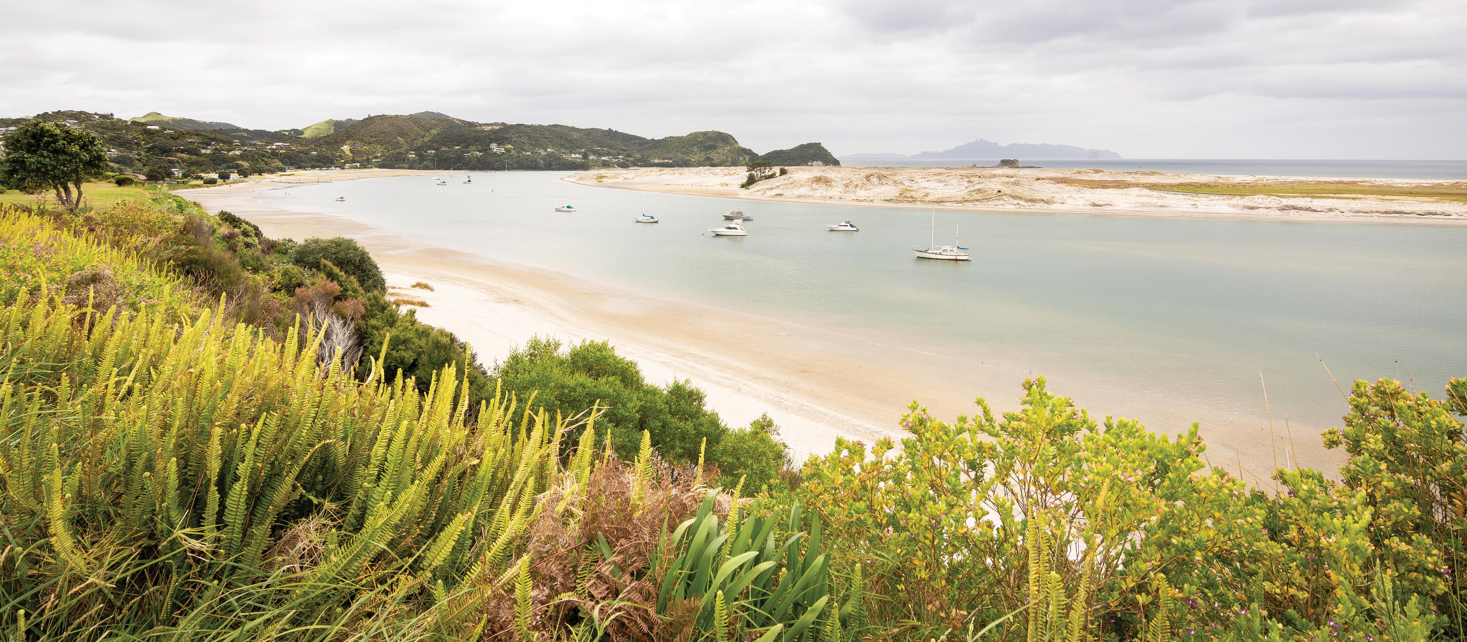 Mangawhai Heads