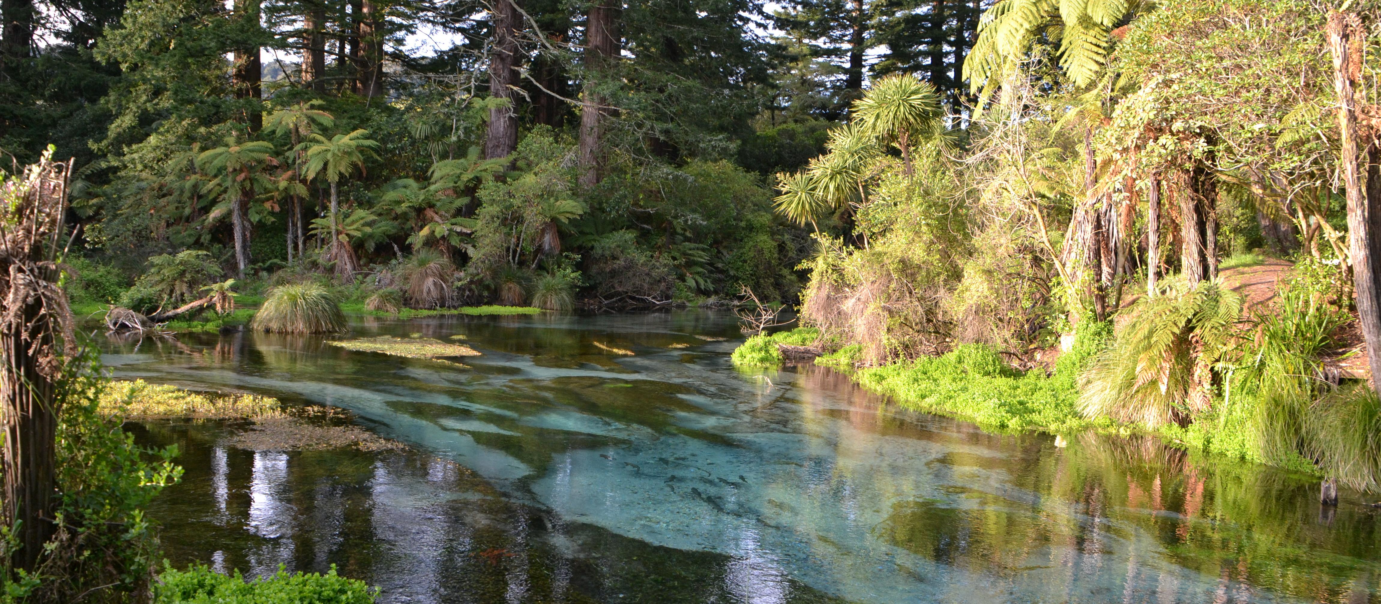 Rotorua - Hamurana Nature Reserve