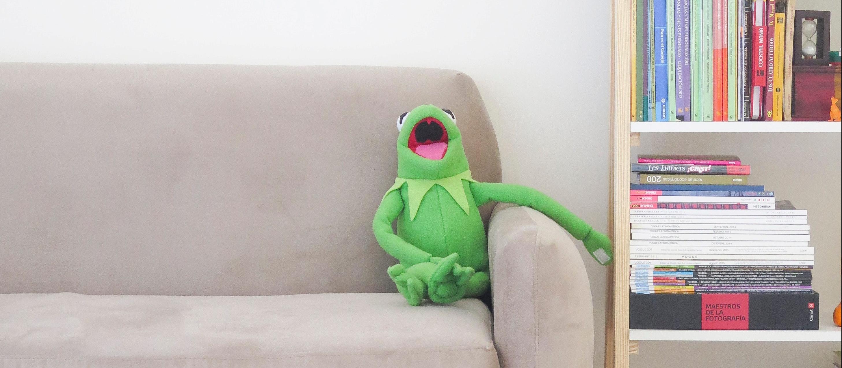 Kermit on couch [Photo by Marcela Rogante on Unsplash]