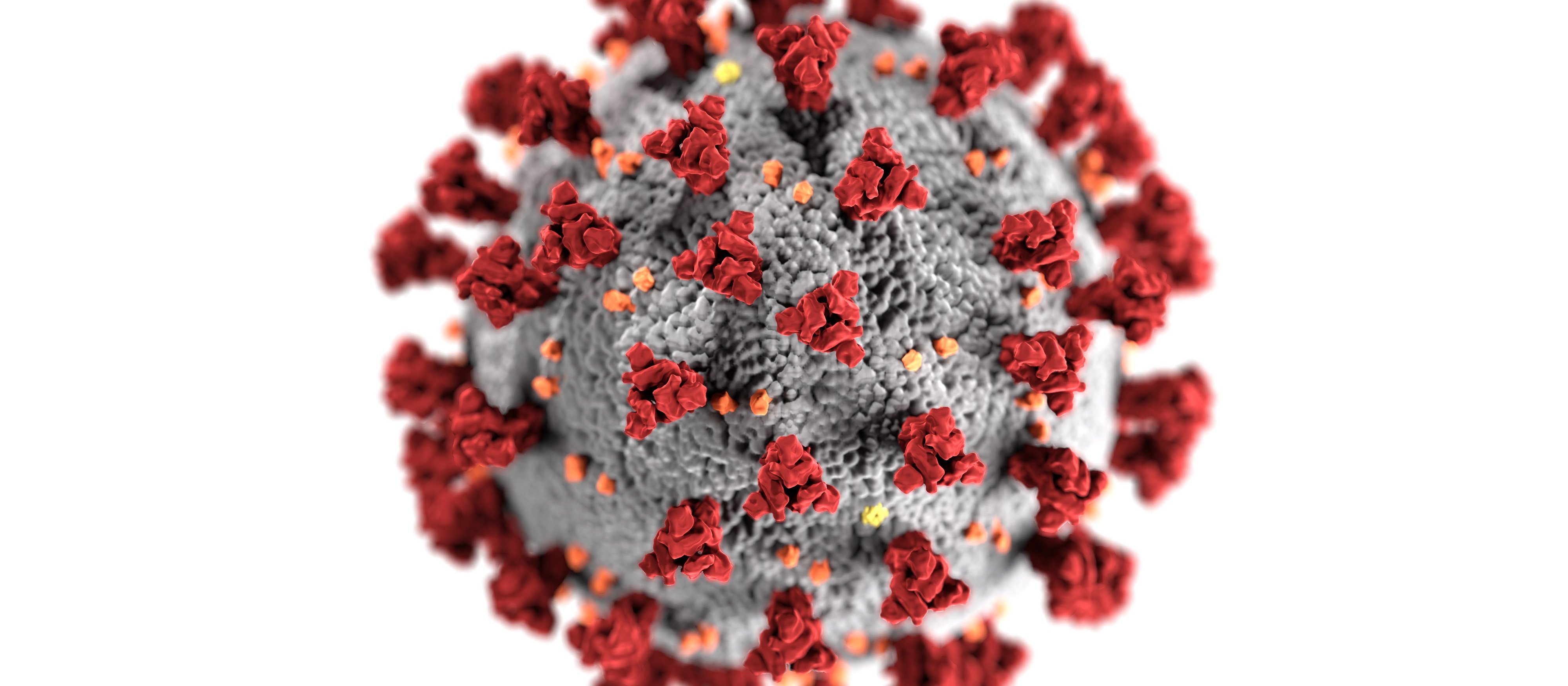 Covid virus