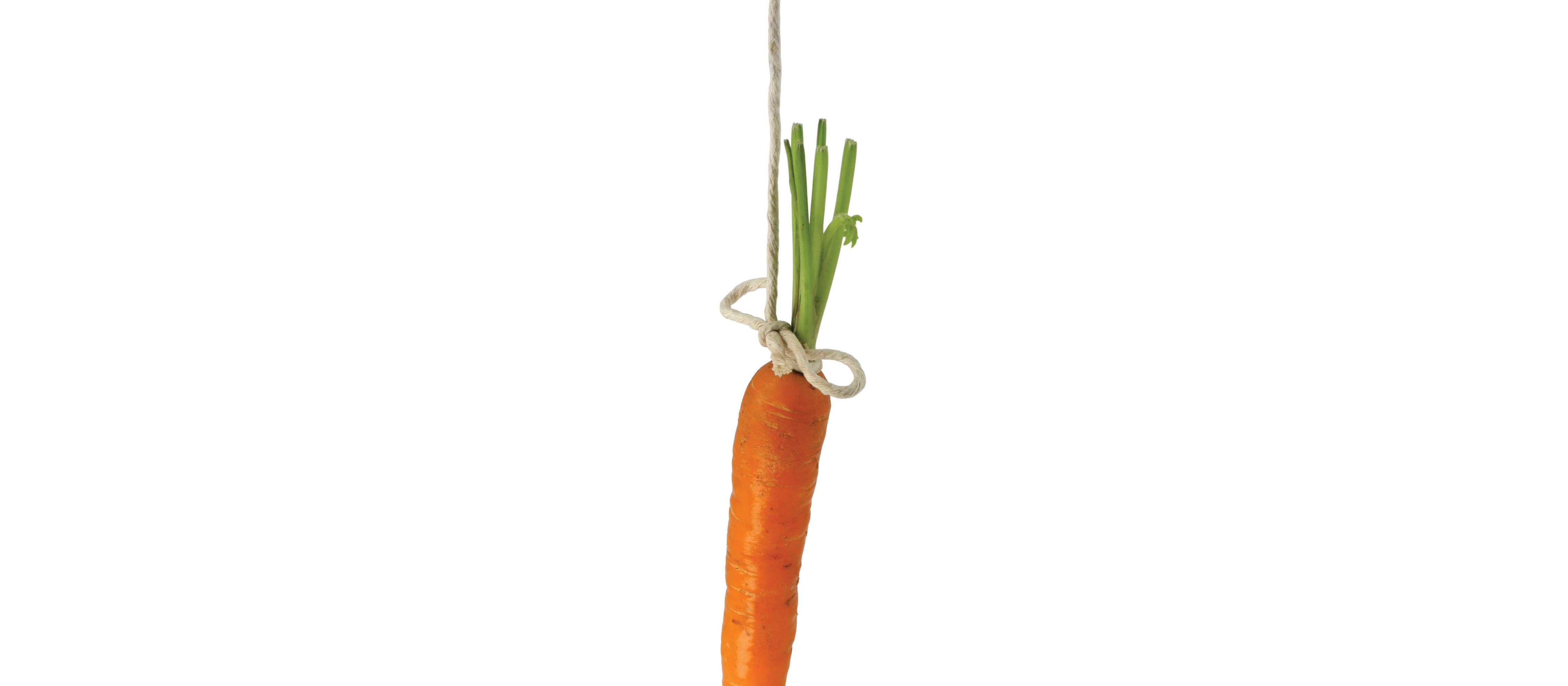 Dangle carrot