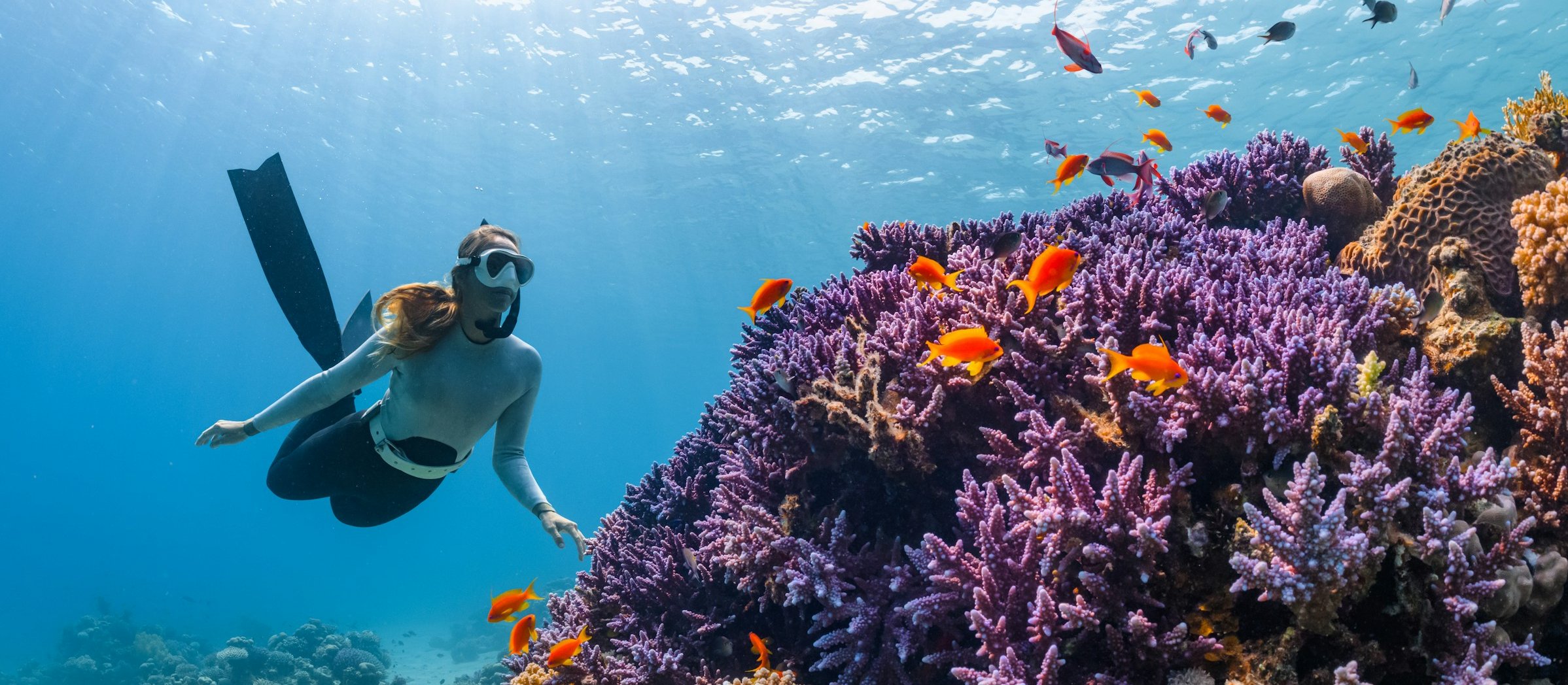 Snorkeling