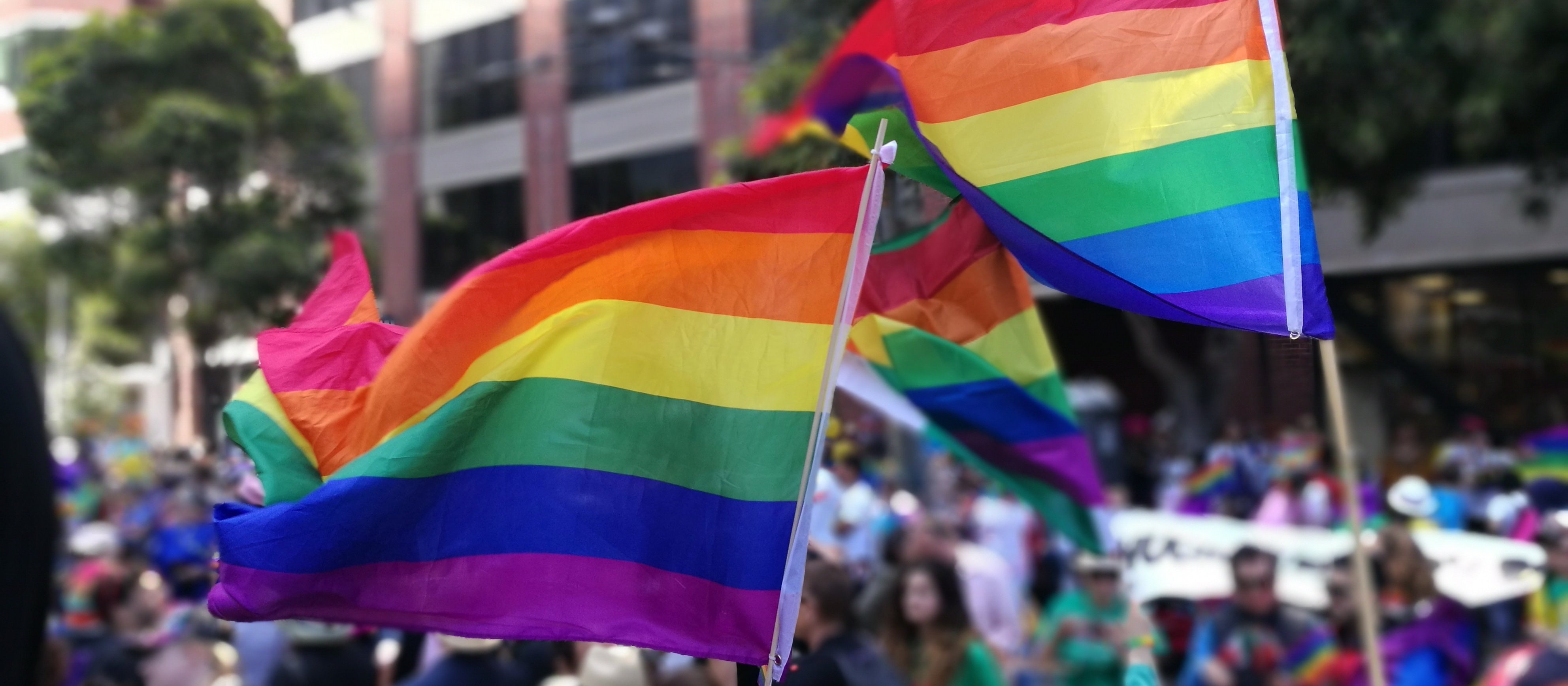 lgbt rainbow flag CR Y Y on Unsplash