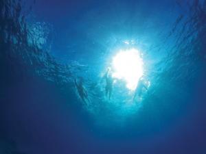 Ocean swimming