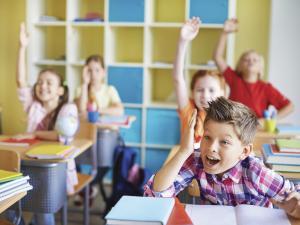 School boy in class