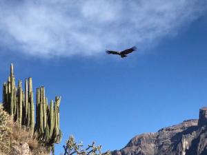 Peru - sky