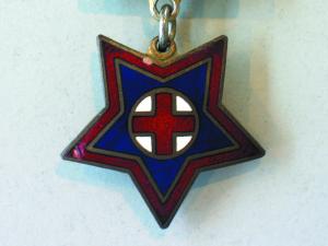 nurse badge