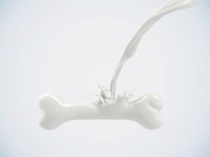 Milk bone calcium osteoporosis