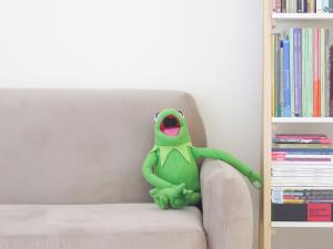 Kermit on couch [Photo by Marcela Rogante on Unsplash]