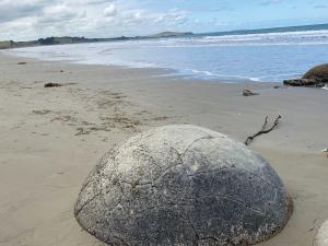 Moeraki boulder