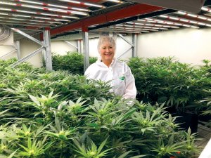 Eqalis chief medical officer Elizabeth Plant believes both ACC and MSD should develop coherent policies so prescribers can have certainty over when a script for a medicinal cannabis product will be funded