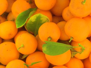 Pile of oranges