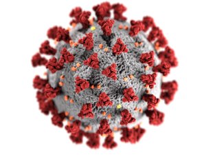 Covid virus