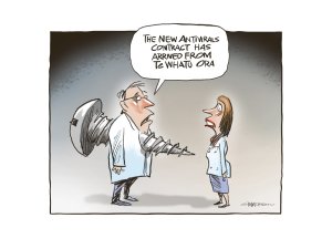 Cartoon_Covid antivirus_CR Rod Emmerson