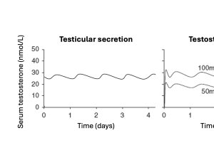 Serum testosterone levels in different forms of testosterone application, compared with testicular secretion (time scales are adjusted per preparation)