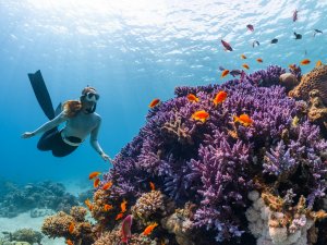 Snorkeling