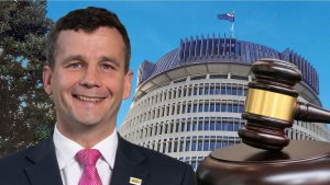 David Seymour, law, regulation, politics