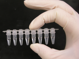 PCR test tubes Lab COVID-19