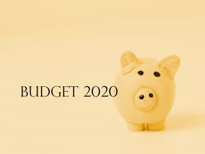 Budget 2020 Piggy_yellow
