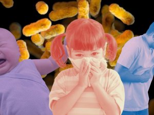 Whooping cough, pertussis