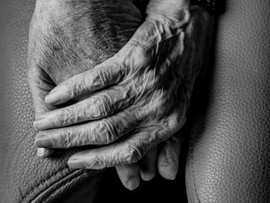 black and white image, close-up of hands of two old people holding hands