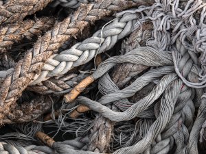 knotty CR Milada Vigerova on Unsplash